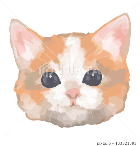 マンチカン – 世界の猫 顔アップイラスト – リアルタッチベクター 133321393