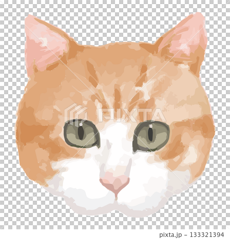 日本貓 – 世界各地貓咪的特寫插圖 – 逼真的向量圖 133321394