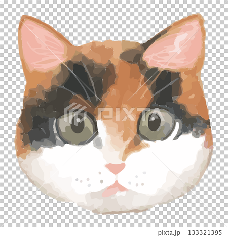 日本貓 – 世界各地貓咪的特寫插圖 – 逼真的向量圖 133321395