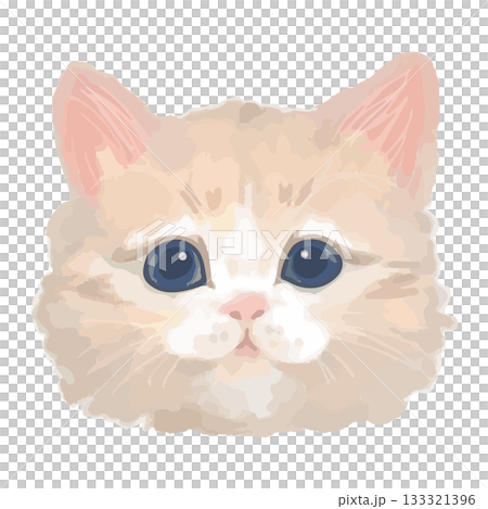 挪威森林貓 – 世界各地貓科動物的特寫插圖 – 逼真的觸控向量圖 133321396