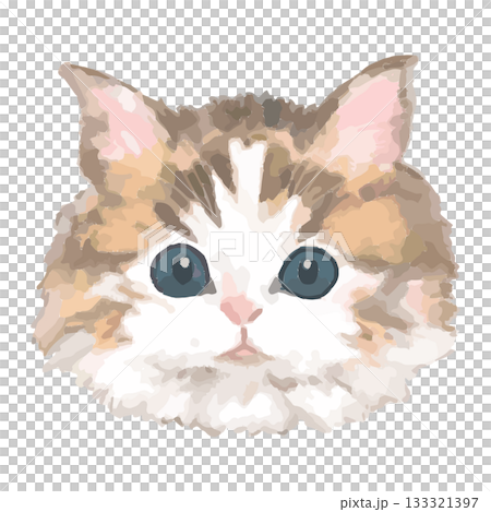 Norwegian Forest Cat – Close-up Illustrations of Cats from Around the World – Real Touch Vector 133321397