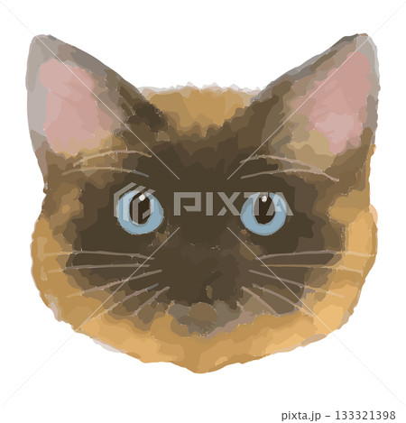 ラガマフィン – 世界の猫 顔アップイラスト – リアルタッチベクター 133321398