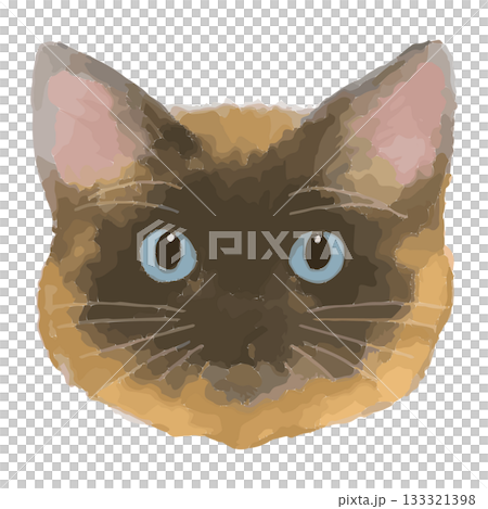 Ragamuffin – Close-up illustrations of cats from around the world – Real Touch Vector 133321398