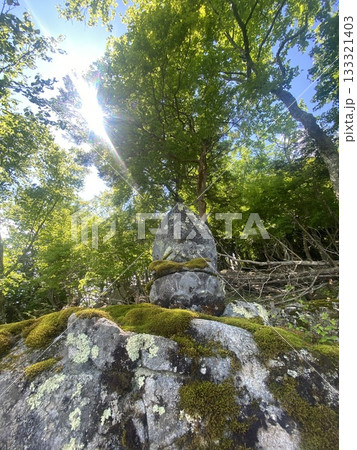 日光中禅寺湖　大日崎の大日如来像 133321403