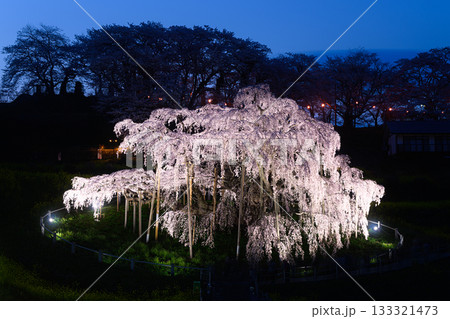 三春の滝桜　春の風景 133321473