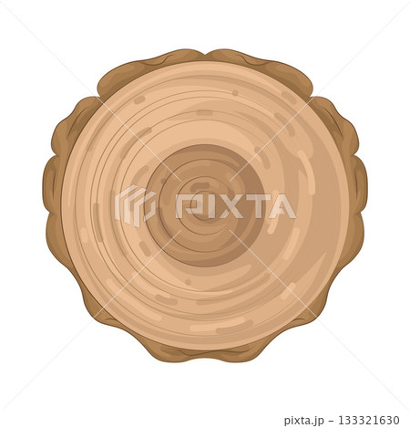 Illustration of tree ring 133321630