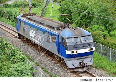 東海道本線 東高島-桜木町 JR貨物 EF210-116(新鶴見) 東海道本線 東高島-桜木町 JR貨物 EF210-116(新鶴見) 133321797