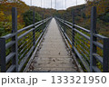 鬼の舌震　恋吊橋 133321950