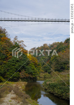 鬼の舌震　恋吊橋 133321951