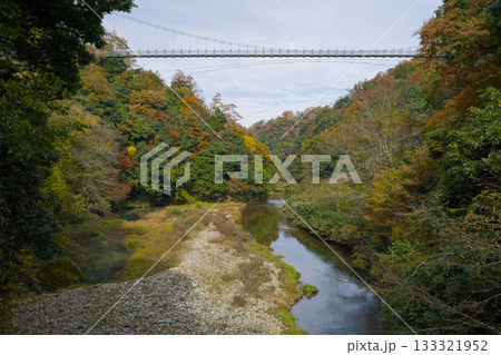 鬼の舌震　恋吊橋 133321952