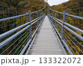 鬼の舌震　恋吊橋 133322072