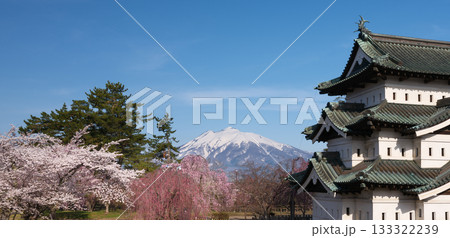 弘前城と桜と岩木山 　2025年 春 133322239