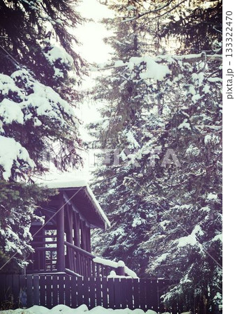 House amidst trees during winter House amidst trees during winter 133322470