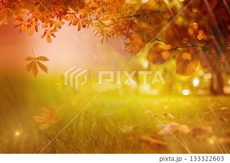 Flat design autumn branch is casting warm sunlight over grassy meadow with falling leaves and bokeh Flat design autumn branch is casting warm sunlight over grassy meadow with falling leaves and bokeh 133322603