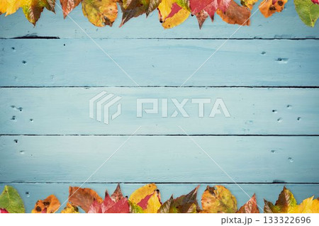 Colorful autumn leaves are framing rustic blue wooden plank surface in flat design Colorful autumn leaves are framing rustic blue wooden plank surface in flat design 133322696
