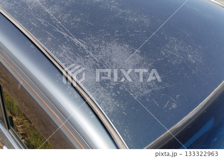 自動車の屋根の塗装劣化 133322963