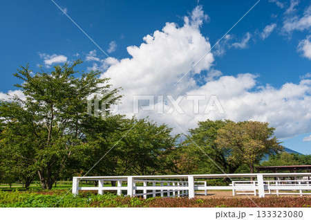 小岩農場の風景 青空と雲 小岩農場の風景 青空と雲 133323080
