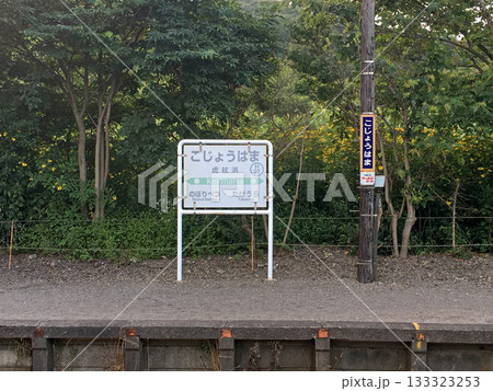 室蘭本線 虎杖浜 JR北海道 室蘭本線 虎杖浜 JR北海道 133323253