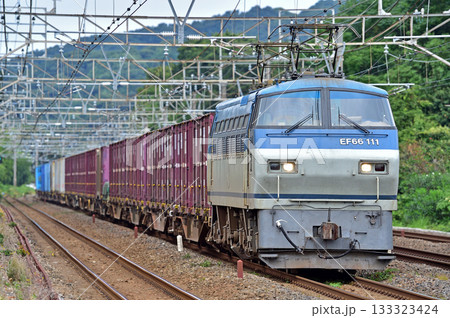 東海道本線 二宮-国府津 JR貨物 EF66-111(吹田) 東海道本線 二宮-国府津 JR貨物 EF66-111(吹田) 133323424