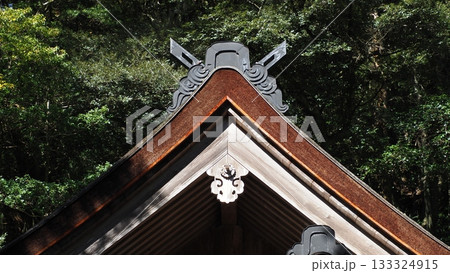 出雲神社 素鵞社 133324915