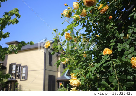 横浜の山手イタリア山庭園内にある外交官の家 133325426