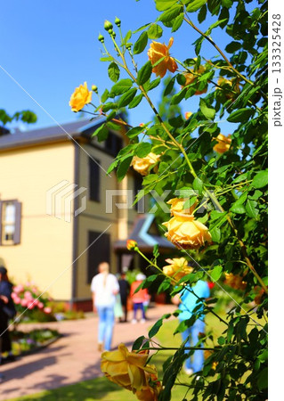 横浜の山手イタリア山庭園内にある外交官の家 横浜の山手イタリア山庭園内にある外交官の家 133325428