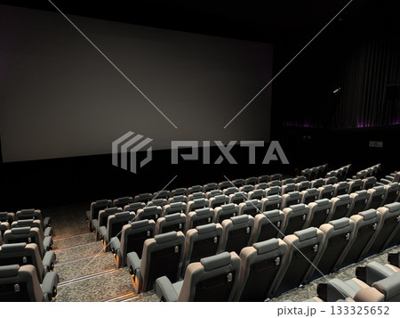 映画館 133325652