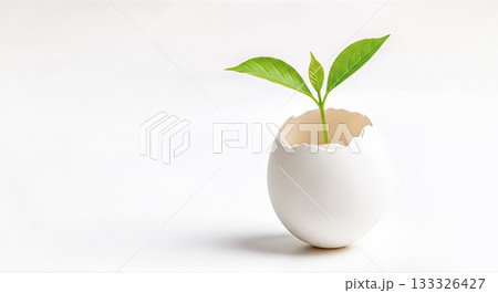 Small green plant sprout growing inside white egg shell concept new life beginning startup potential business incubator birth creative idea Small green plant sprout growing inside white egg shell concept new life beginning startup potential business incubator birth creative idea 133326427