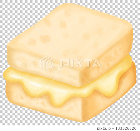 Sandwich watercolor design illustration 133326520