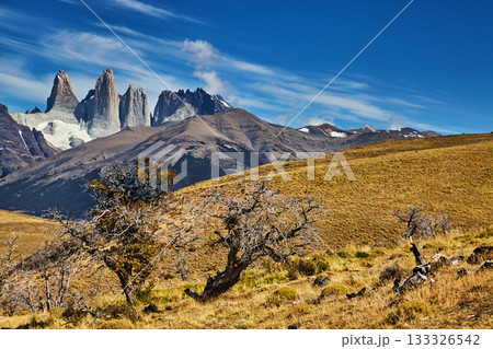 Torres del Paine, Patagonia, Chile Torres del Paine, Patagonia, Chile 133326542