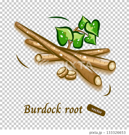 Burdock pop illustration | Cute vegetable vector material Burdock pop illustration | Cute vegetable vector material 133326653