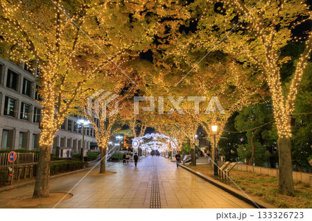 大阪中之島のクリスマスイルミネーション 大阪中之島のクリスマスイルミネーション 133326723