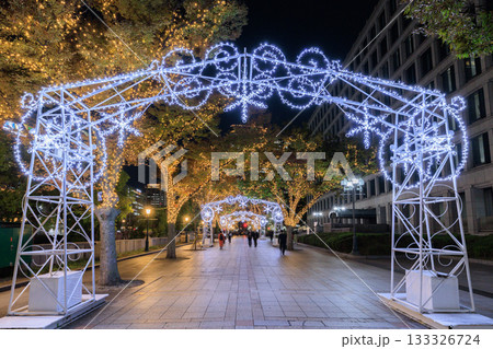 大阪中之島のクリスマスイルミネーション 大阪中之島のクリスマスイルミネーション 133326724