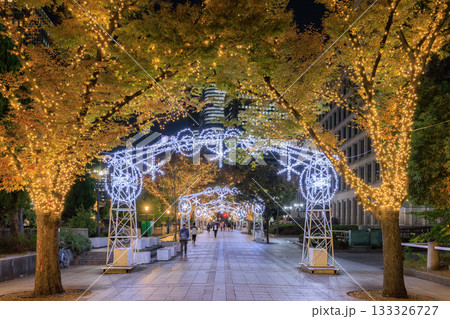 大阪中之島のクリスマスイルミネーション 大阪中之島のクリスマスイルミネーション 133326727