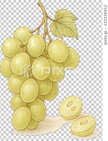 一幅線條柔和的插圖 133326912