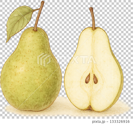 A subtle line drawing illustration 133326916