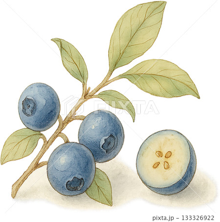 ほのかな感じの薄いラインドローイングイラスト 133326922