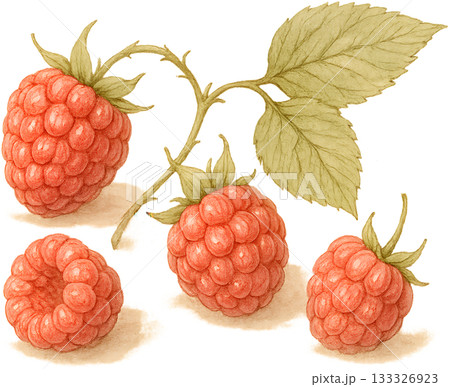 ほのかな感じの薄いラインドローイングイラスト 133326923