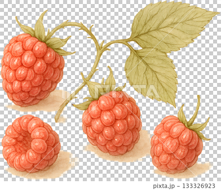 ほのかな感じの薄いラインドローイングイラスト 133326923