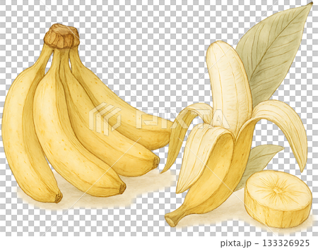 A subtle line drawing illustration 133326925