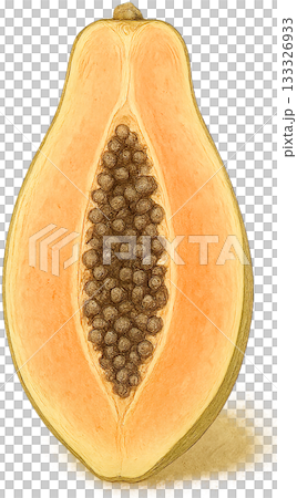 一幅線條柔和的插圖 133326933