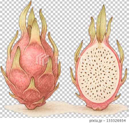 一幅線條柔和的插圖 一幅線條柔和的插圖 133326934