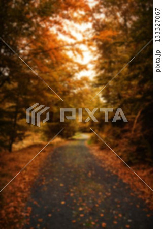 Leaves on road by trees against sky Leaves on road by trees against sky 133327067