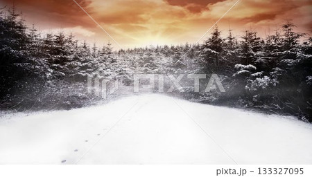 Snow-covered trail is stretching toward horizon in flat design showing snowy trees and footprints Snow-covered trail is stretching toward horizon in flat design showing snowy trees and footprints 133327095