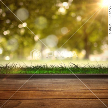 Park scene against wooden planks 133327228