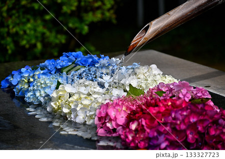 俱利伽羅不動寺西之坊鳳凰殿の花手水 133327723