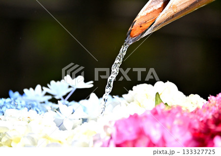 俱利伽羅不動寺西之坊鳳凰殿の花手水 俱利伽羅不動寺西之坊鳳凰殿の花手水 133327725