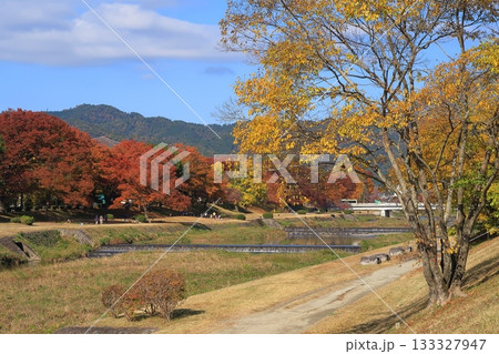 京都　鴨川　加茂川　河川敷　紅葉　秋　河　川　河川　空　雲　 133327947