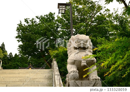 盛岡八幡宮の狛犬 盛岡八幡宮の狛犬 133328059