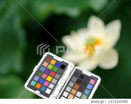 色見本と白い蓮の花 133328300